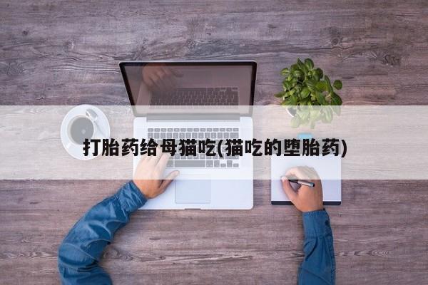 买流产药的联系方式打胎药给母猫吃(猫吃的堕胎药)