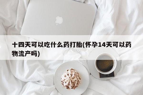 买流产药的联系方式十四天可以吃什么药打胎(怀孕14天可以药物流产吗)